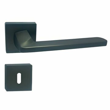 Doğanlar Radya Rozetli Kapı Kolu Antrasit - Wc Kapısı