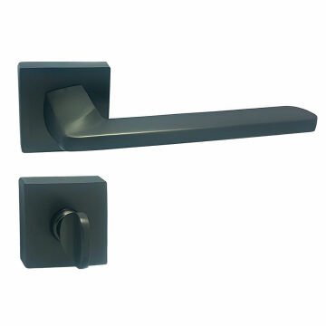 Doğanlar Radya Rozetli Kapı Kolu Antrasit - Wc Kapısı