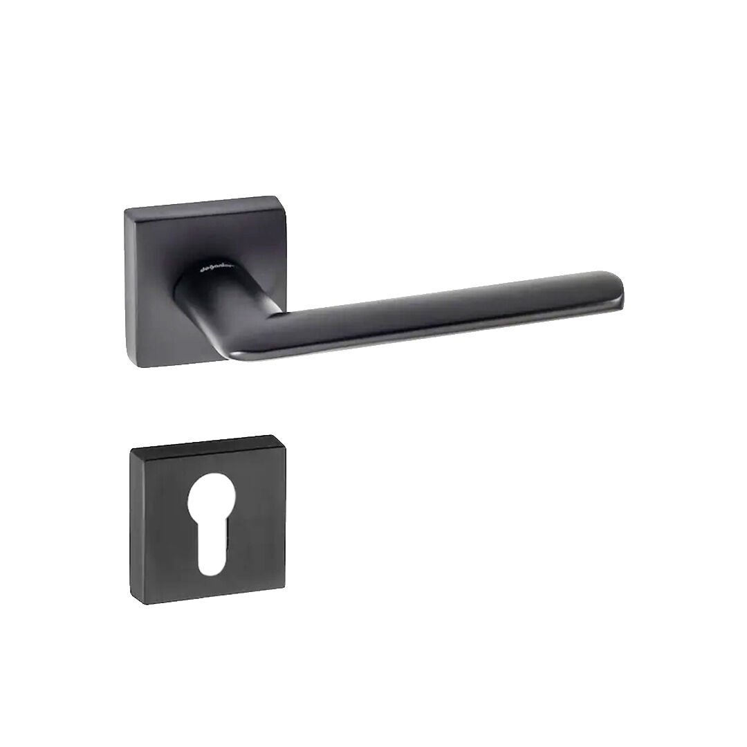 Doğanlar Kante Rozetli Kapı Kolu Antrasit - Dış Kapısı